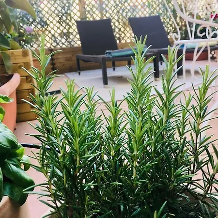 Charming Mezzanine W/ Large Terrace -