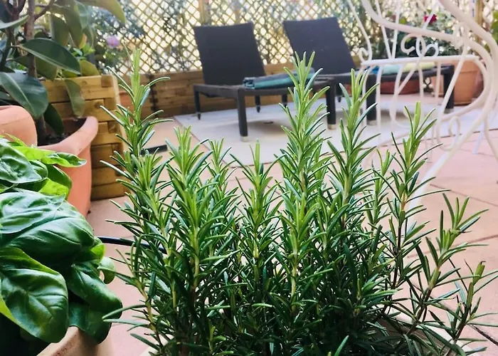 Charming Mezzanine W/ Large Terrace -